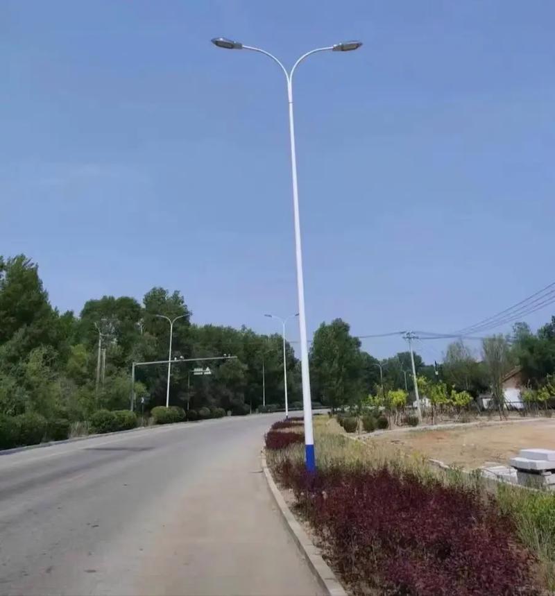 監控立桿與路燈桿 工廠直銷的高質量選擇，服務熱線 18954366397